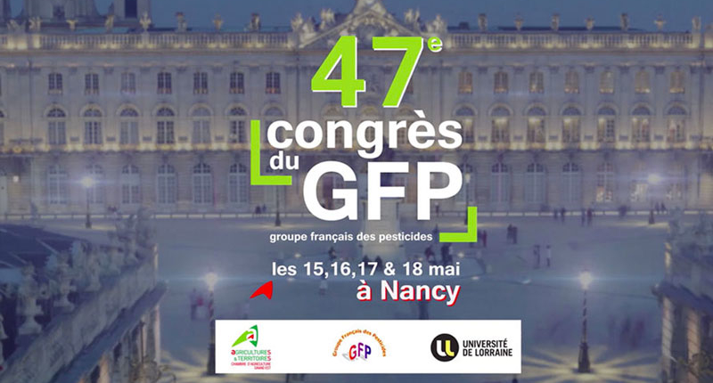 Création de jingles et génériques- Nancy, Lorraine