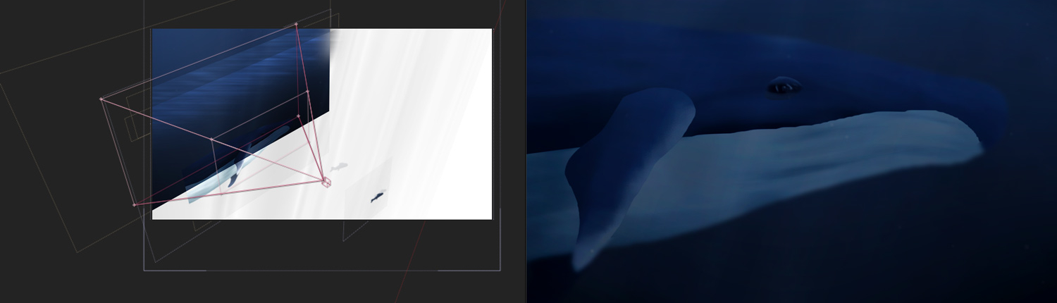 Animer une baleine en motion design - marking of