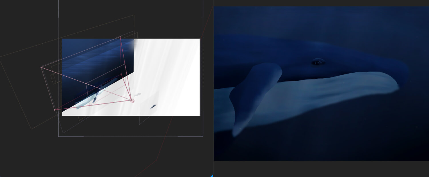 Animer une baleine en motion design - marking of