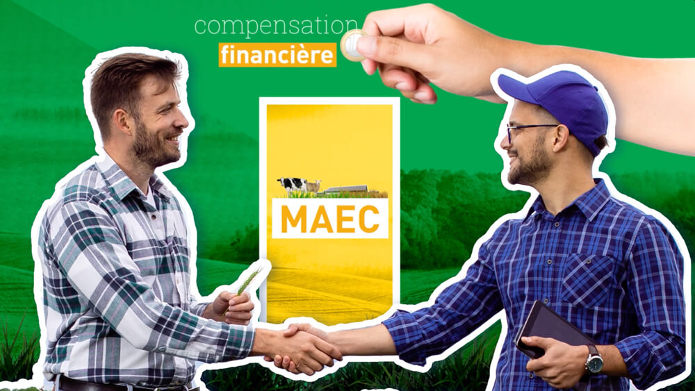 Chambre-agriculture MAEC