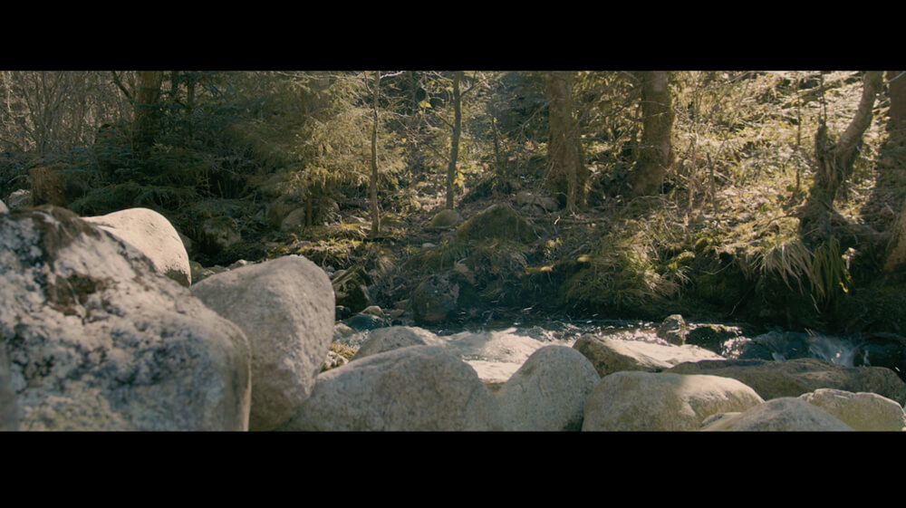 Observatoire de l'acidification du massif Vosgien - vidéo