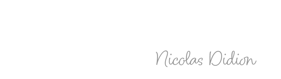 Nicolas DIDION (lagence235) – Production de vidéos explicatives de qualité supérieure pour un apprentissage captivant.